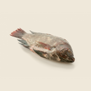 Tilapia Fish - 1KG