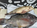 Tilapia Fish - 1KG